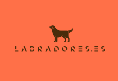 labradores.es